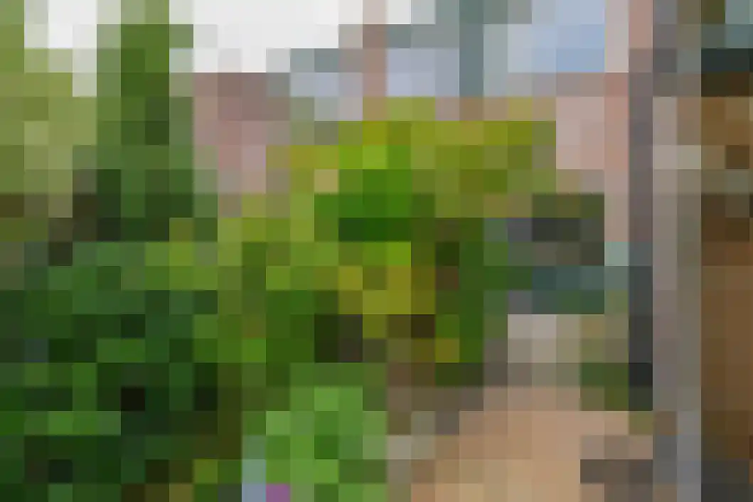 De Reede 56 Veendam thumbnail 38