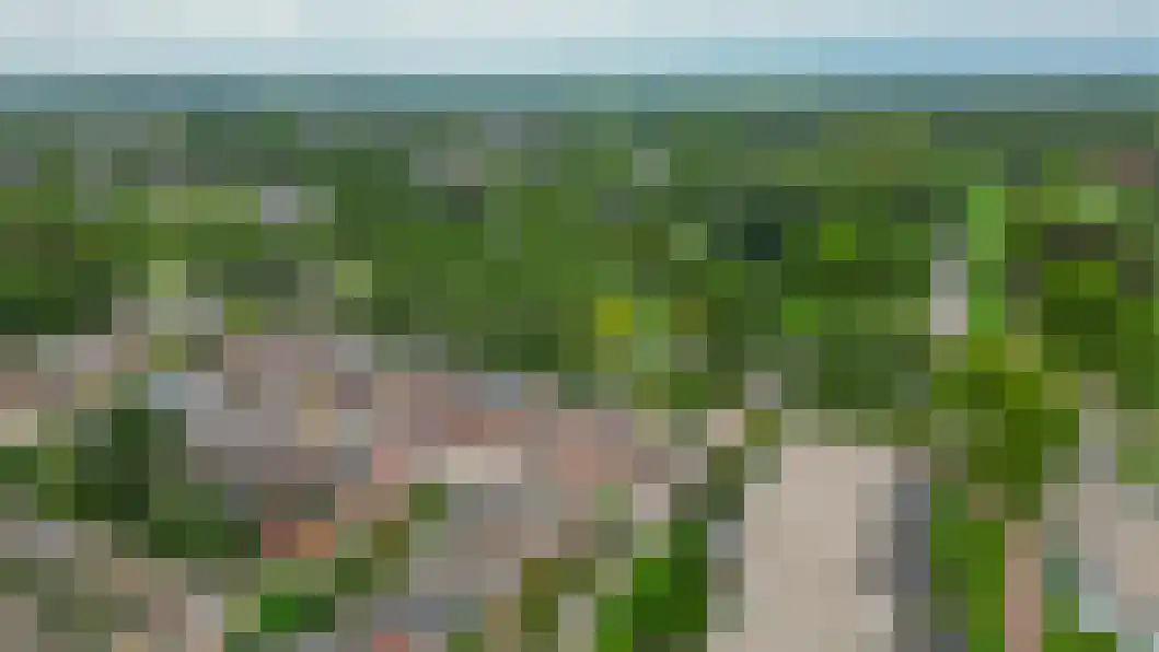 De Reede 56 Veendam thumbnail 44