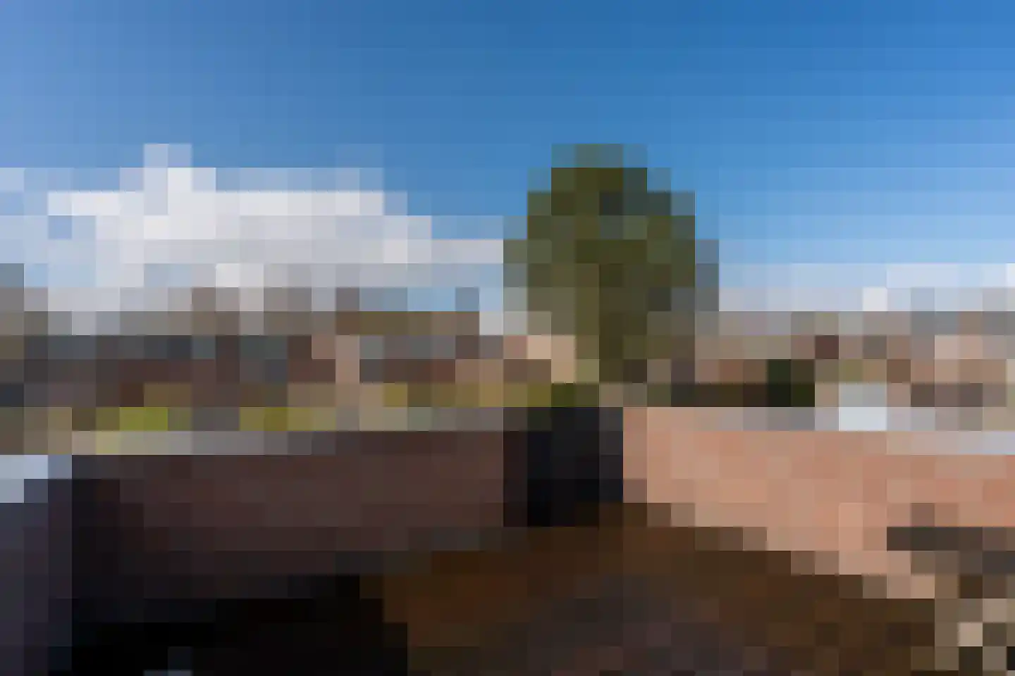 De Reede 65 Veendam thumbnail 24