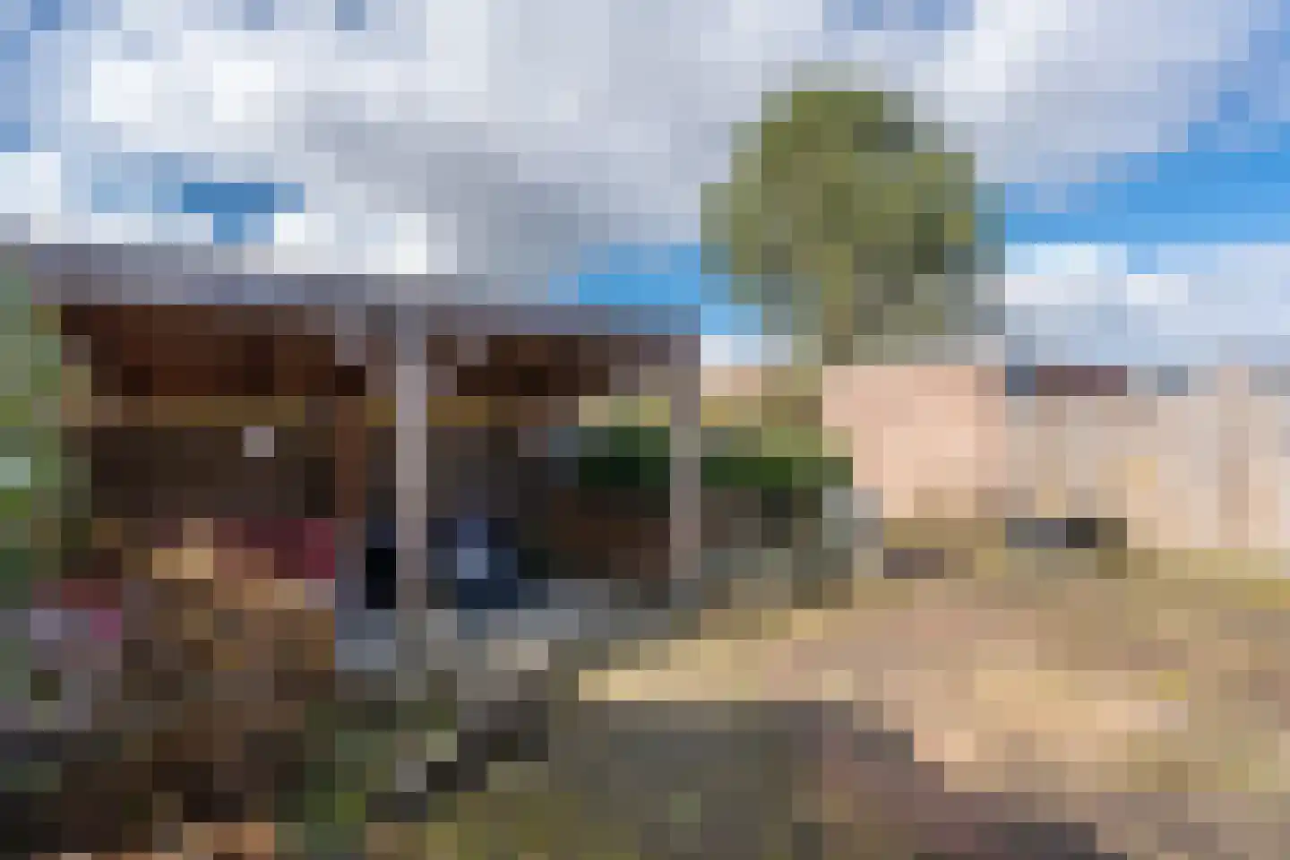 De Reede 65 Veendam thumbnail 33