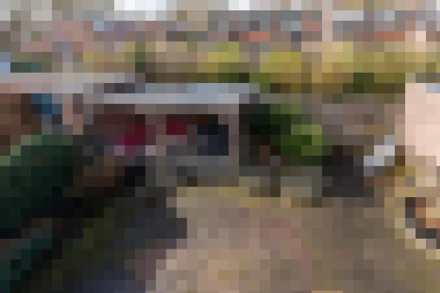 De Reede 65 Veendam thumbnail 35