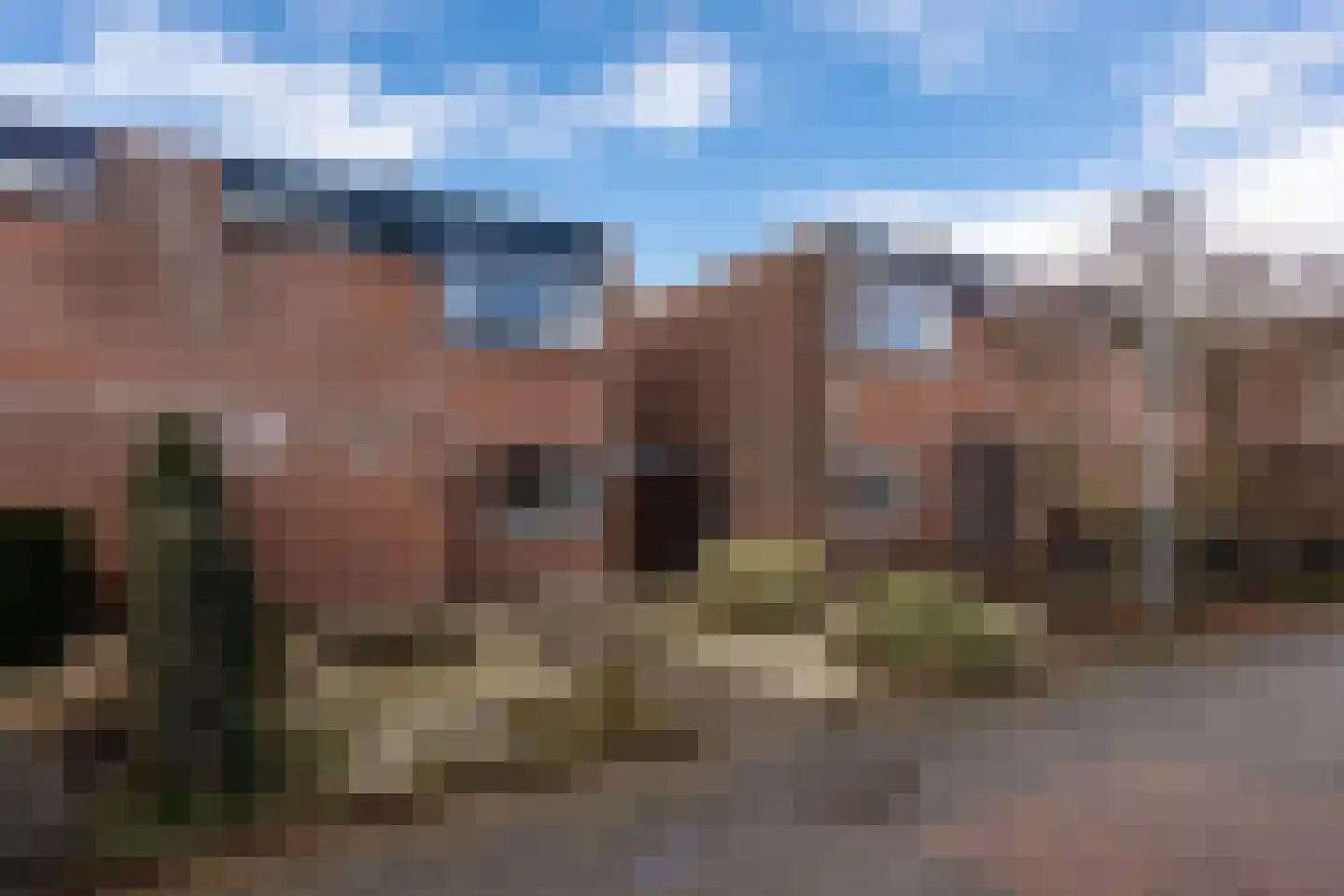 De Reede 65 Veendam thumbnail 5