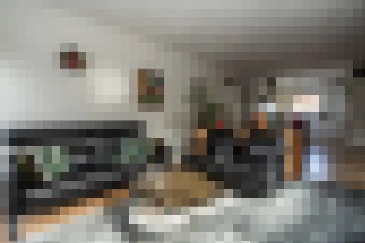 De Reede 65 Veendam thumbnail 8