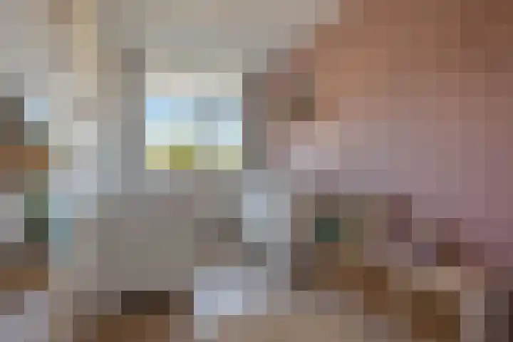 De Reede 66 Veendam thumbnail 19