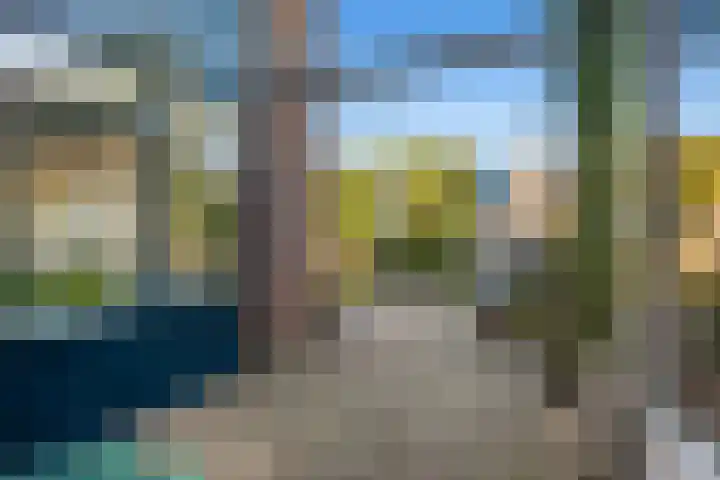 De Reede 66 Veendam thumbnail 22