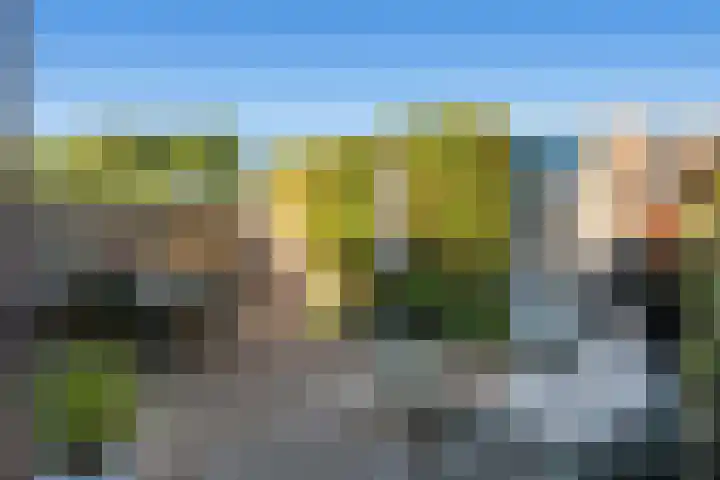 De Reede 66 Veendam thumbnail 23