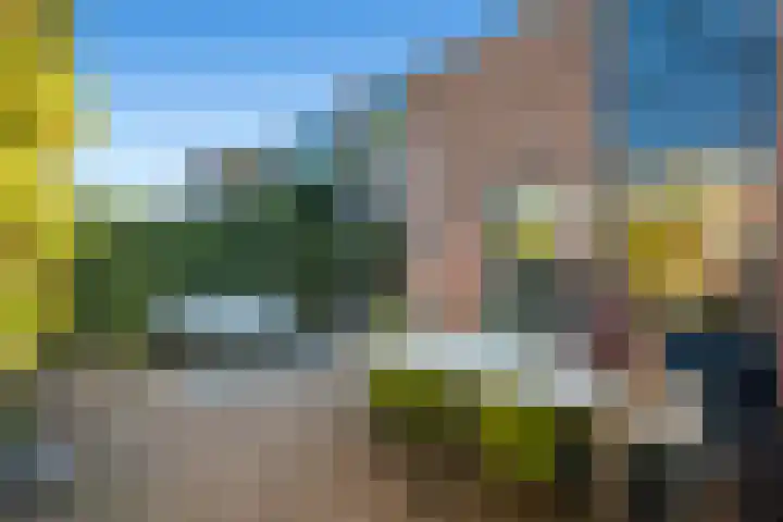 De Reede 66 Veendam thumbnail 25