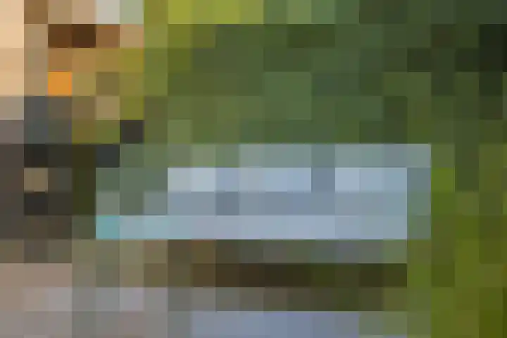 De Reede 66 Veendam thumbnail 26
