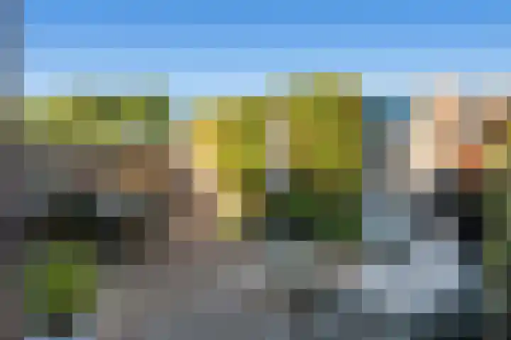 De Reede 66 Veendam thumbnail 5