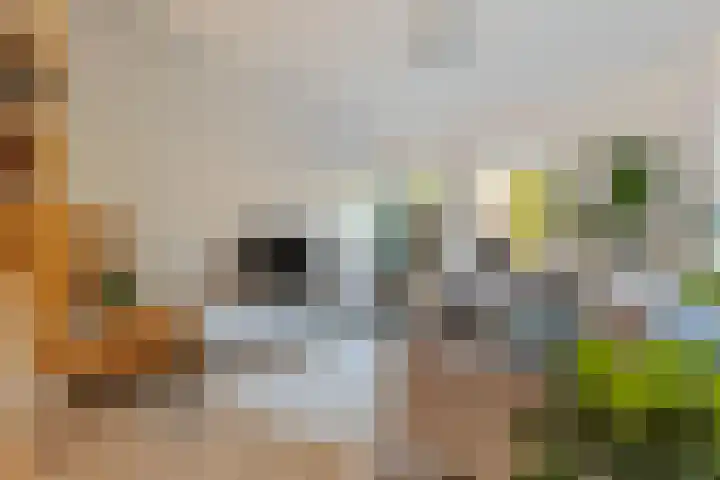 De Reede 66 Veendam thumbnail 7