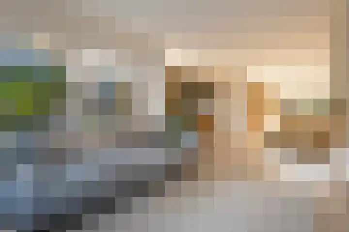 De Reede 66 Veendam thumbnail 8