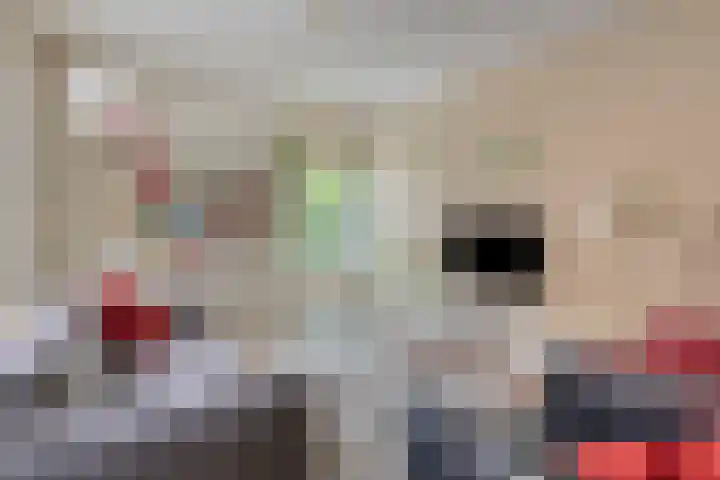 De Reede 70 Veendam thumbnail 14