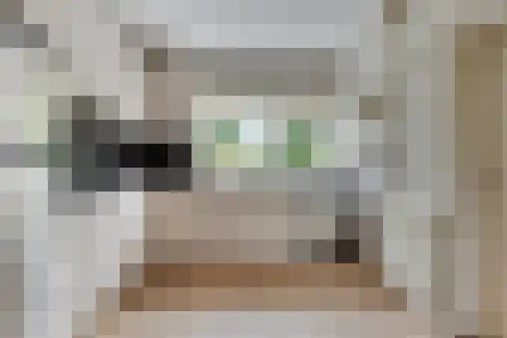De Reede 70 Veendam thumbnail 17
