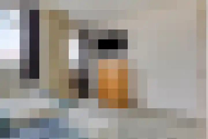 De Reede 70 Veendam thumbnail 22