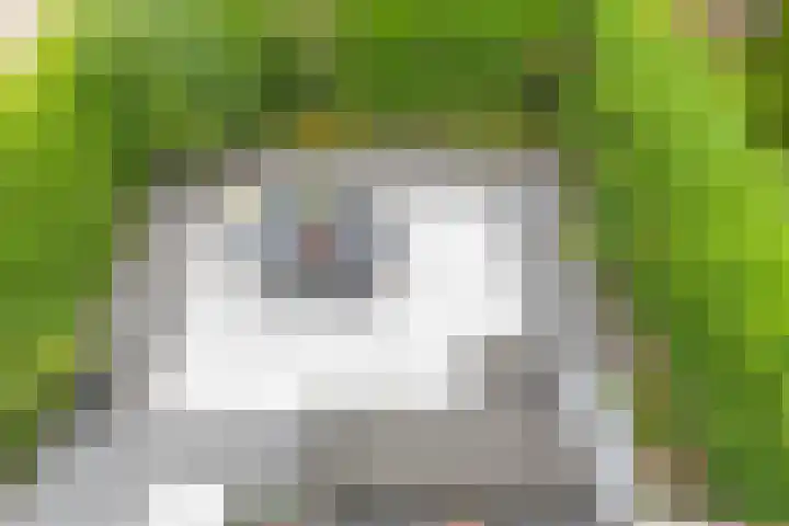 De Reede 70 Veendam thumbnail 30