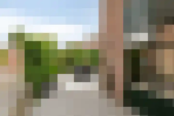De Reede 70 Veendam thumbnail 34