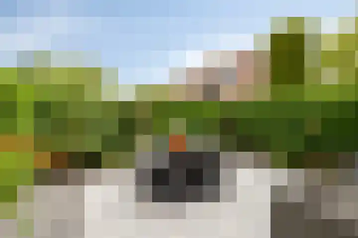 De Reede 70 Veendam thumbnail 35