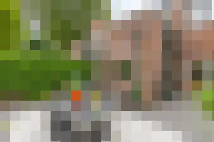 De Reede 70 Veendam thumbnail 36