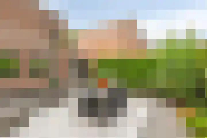 De Reede 70 Veendam thumbnail 37