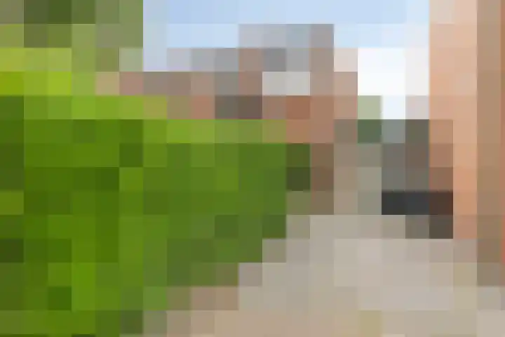 De Reede 70 Veendam thumbnail 38