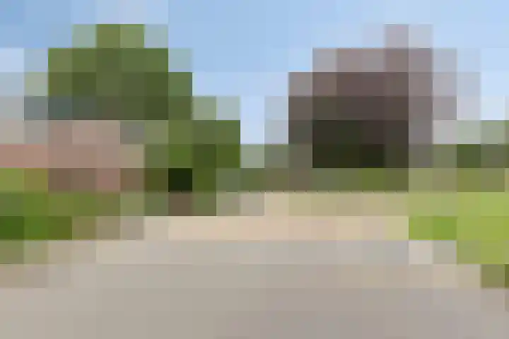 De Reede 70 Veendam thumbnail 4