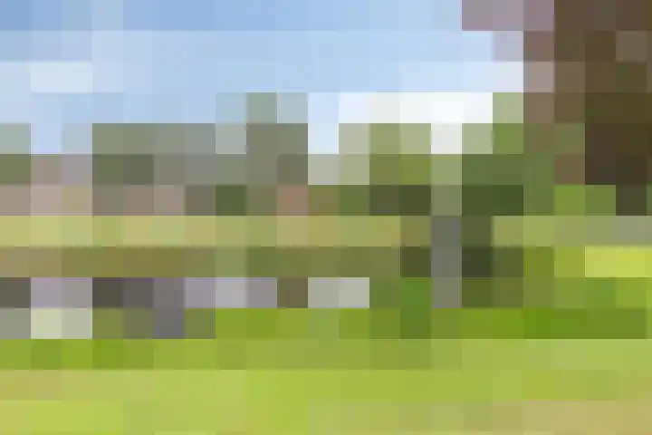De Reede 70 Veendam thumbnail 40