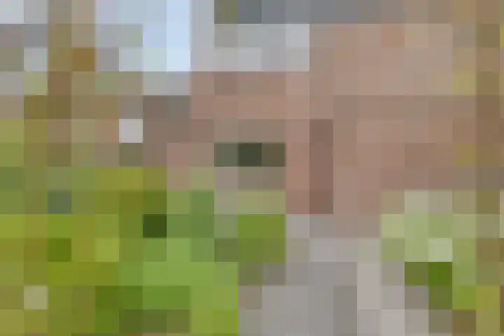 De Reede 70 Veendam thumbnail 5