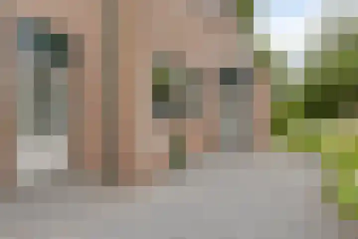 De Reede 70 Veendam thumbnail 6
