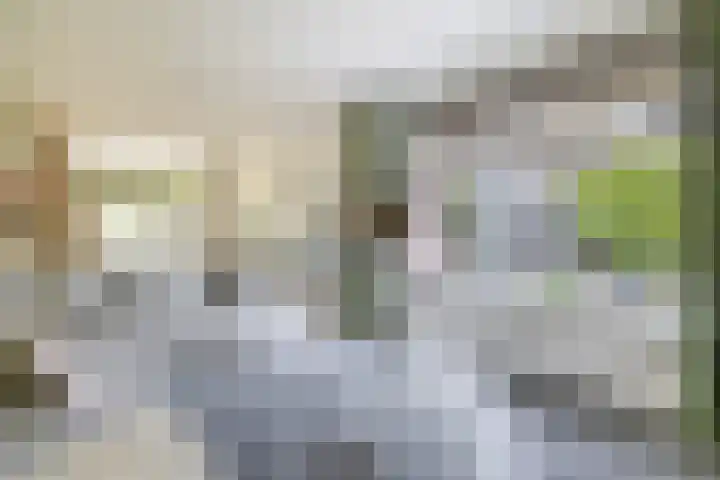 De Reede 80 Veendam thumbnail 12