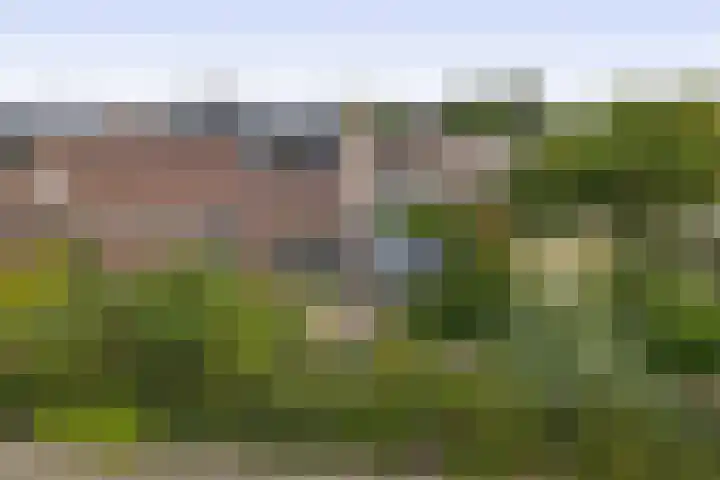 De Reede 80 Veendam thumbnail 22