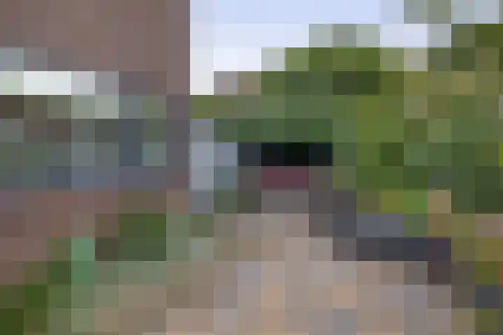 De Reede 80 Veendam thumbnail 23