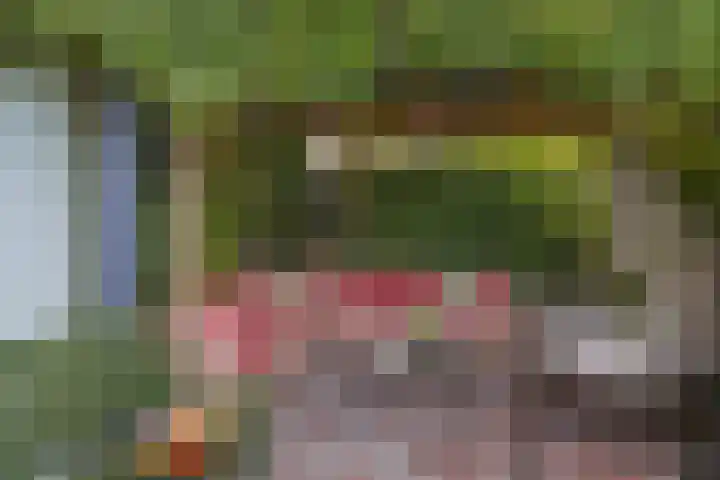 De Reede 80 Veendam thumbnail 25