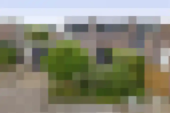 De Reede 80 Veendam thumbnail 26