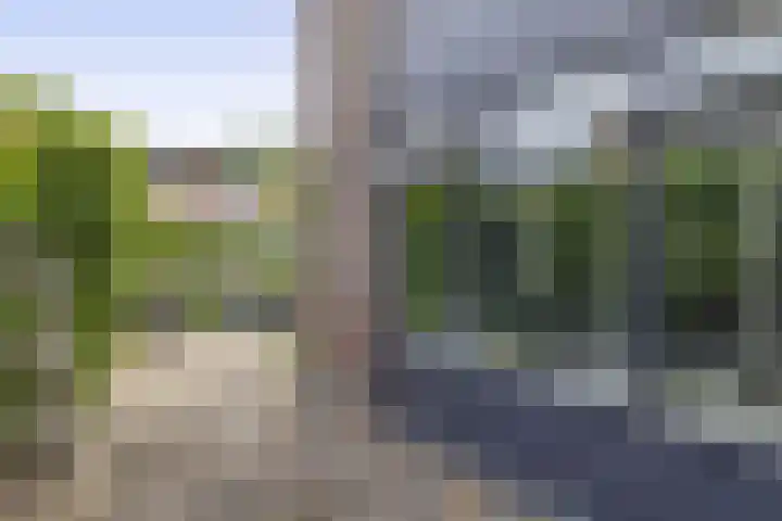 De Reede 80 Veendam thumbnail 27