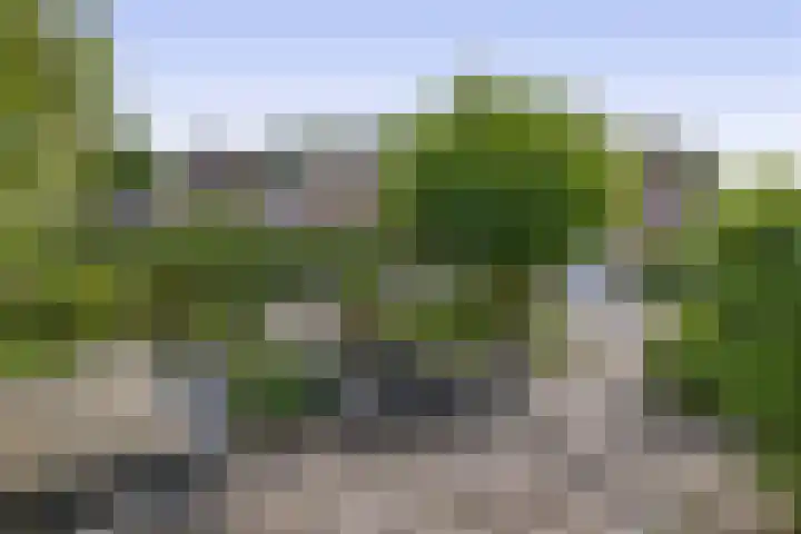 De Reede 80 Veendam thumbnail 28