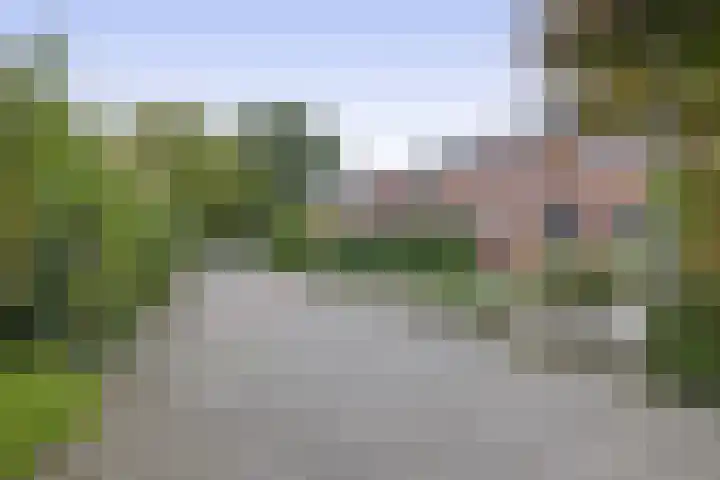 De Reede 80 Veendam thumbnail 30