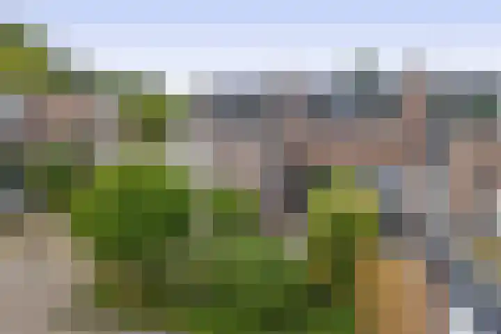 De Reede 80 Veendam thumbnail 31