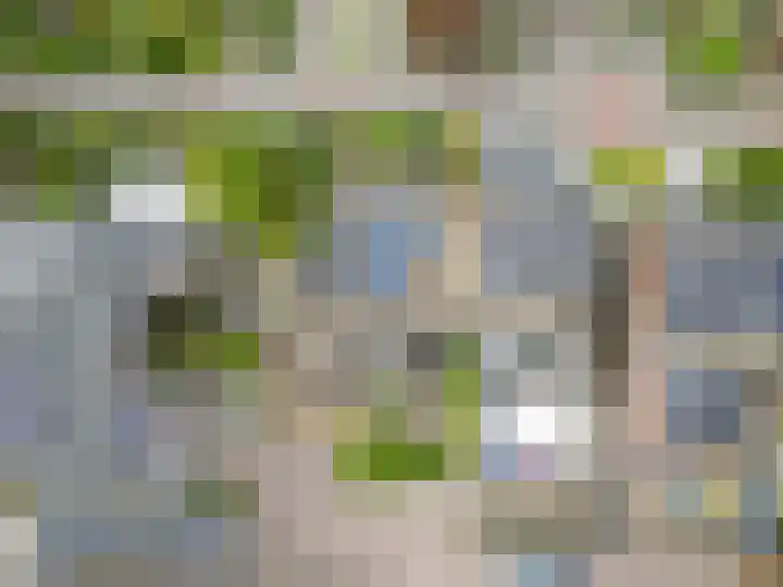 De Reede 80 Veendam thumbnail 32