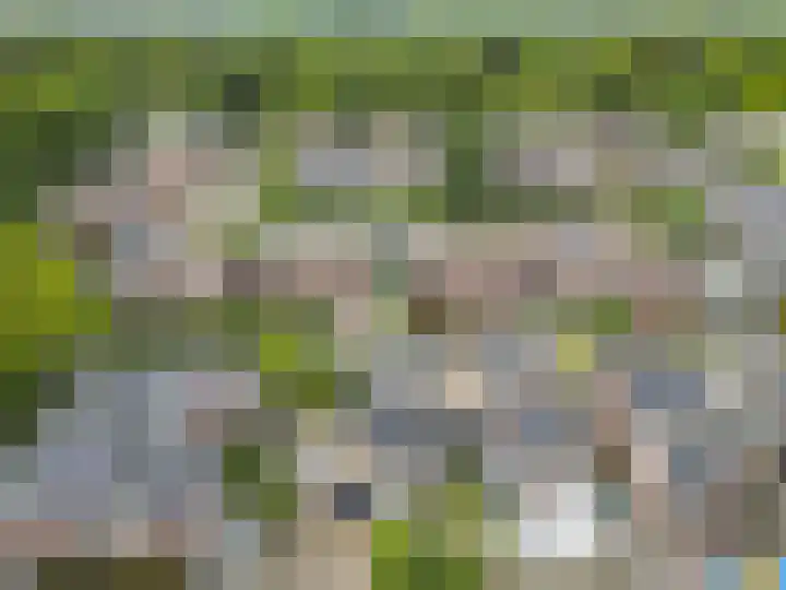 De Reede 80 Veendam thumbnail 33