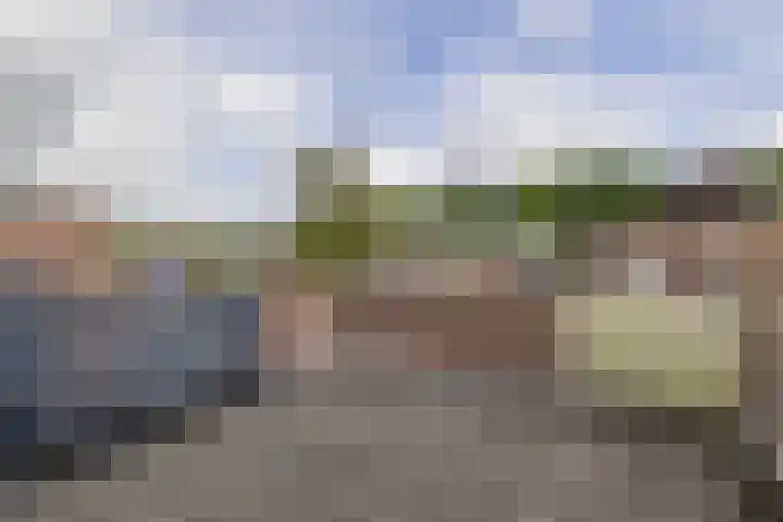 De Reede 80 Veendam thumbnail 5
