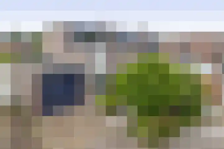 De Reede 80 Veendam thumbnail 6