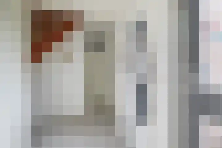 De Reede 80 Veendam thumbnail 7