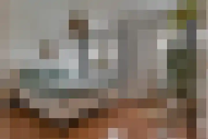 De Reede 85 Veendam thumbnail 17