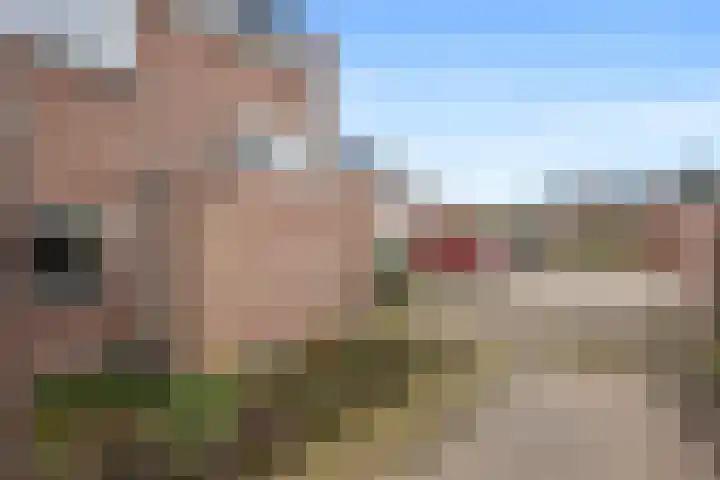 De Reede 85 Veendam thumbnail 38