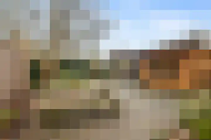 De Reede 85 Veendam thumbnail 5