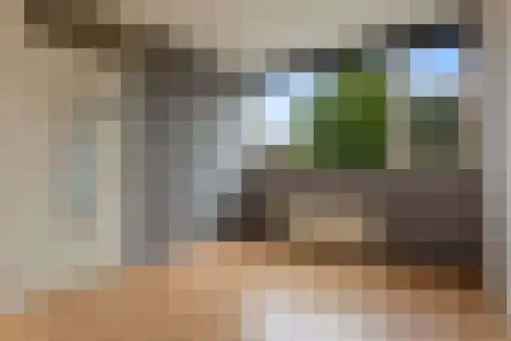 De Reede 97 Veendam thumbnail 14