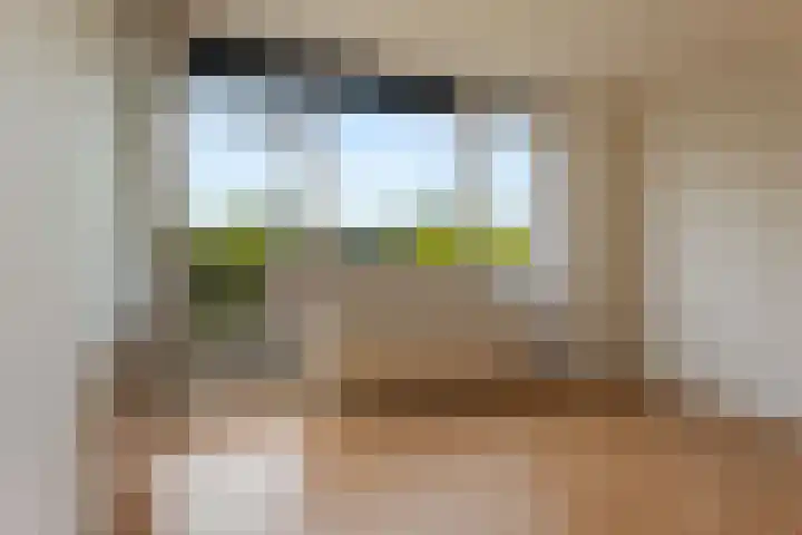 De Reede 97 Veendam thumbnail 16