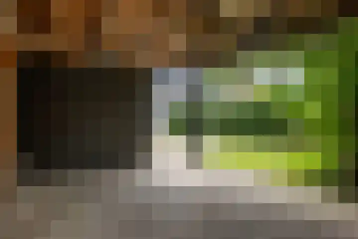 De Reede 97 Veendam thumbnail 25