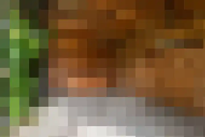 De Reede 97 Veendam thumbnail 26
