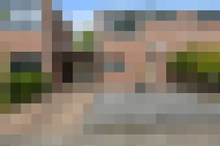 De Reede 97 Veendam thumbnail 28